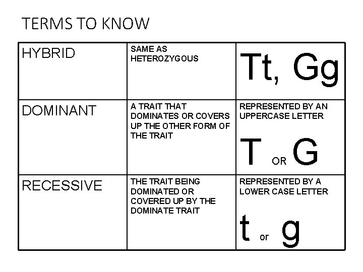 TERMS TO KNOW HYBRID SAME AS HETEROZYGOUS Tt, Gg DOMINANT A TRAIT THAT DOMINATES