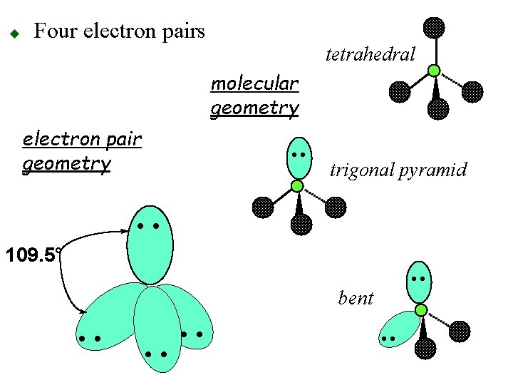 u Four electron pairs tetrahedral molecular geometry electron pair geometry • • trigonal pyramid