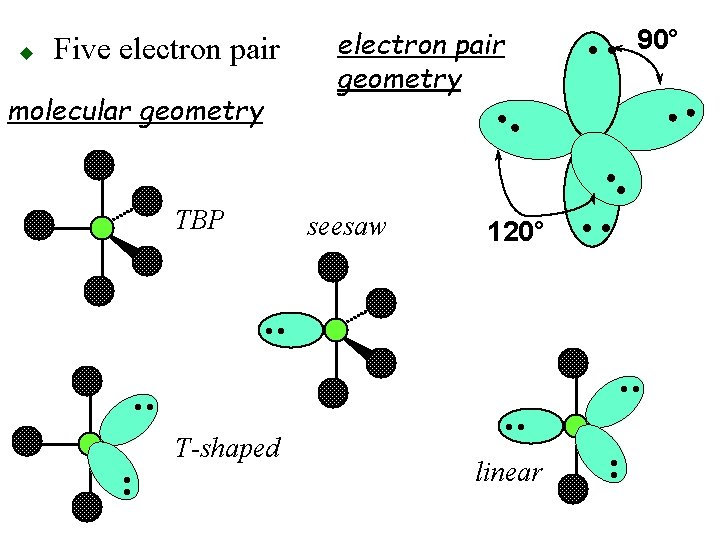 Five electron pair molecular geometry electron pair geometry 90° • • TBP seesaw 120°