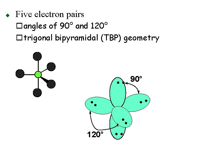 Five electron pairs oangles of 90° and 120° otrigonal bipyramidal (TBP) geometry • •