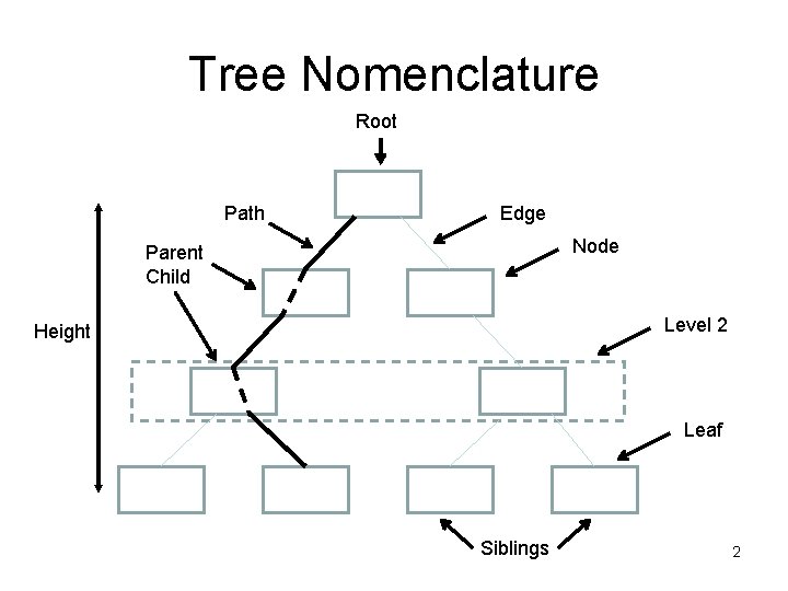 Tree Nomenclature Root Path Edge Node Parent Child Level 2 Height Leaf Siblings 2