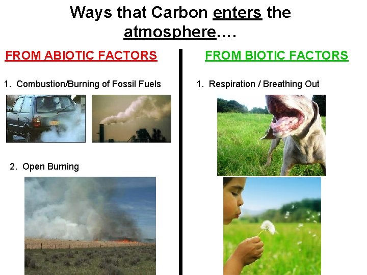 Ways that Carbon enters the atmosphere…. FROM ABIOTIC FACTORS 1. Combustion/Burning of Fossil Fuels