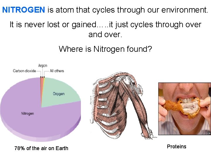 NITROGEN is atom that cycles through our environment. It is never lost or gained….