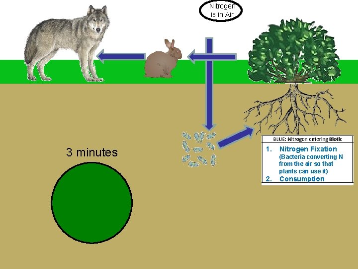 Nitrogen is in Air 3 minutes 1. Nitrogen Fixation (Bacteria converting N from the