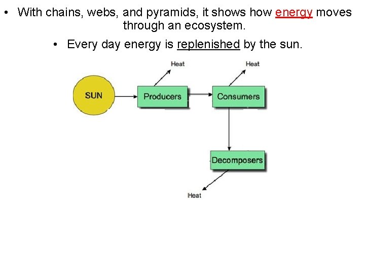  • With chains, webs, and pyramids, it shows how energy moves through an