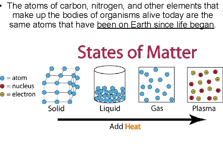  • The atoms of carbon, nitrogen, and other elements that make up the