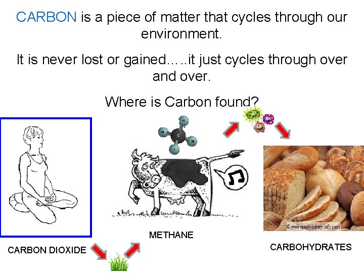 CARBON is a piece of matter that cycles through our environment. It is never