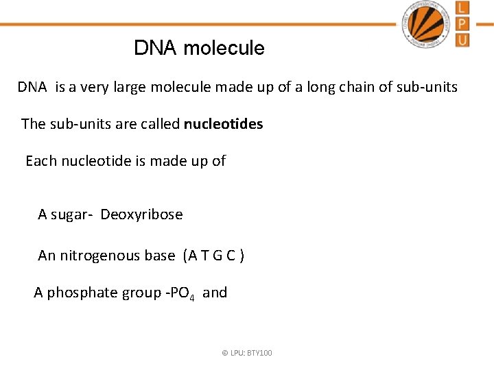 DNA molecule DNA is a very large molecule made up of a long chain