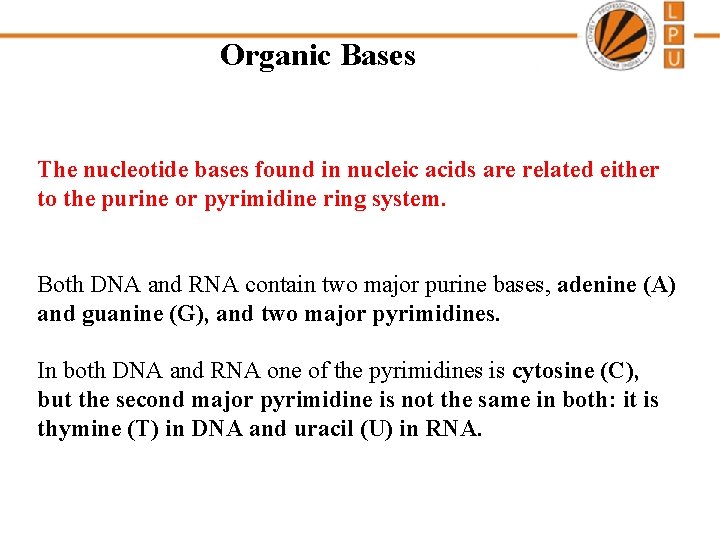 Organic Bases The nucleotide bases found in nucleic acids are related either to the