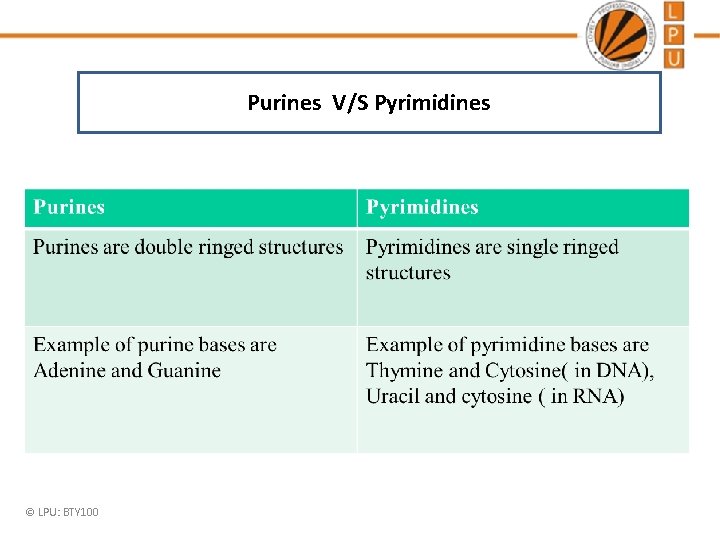 Purines V/S Pyrimidines © LPU: BTY 100 Purines V/S Pyrimidines © LPU: BTY 100