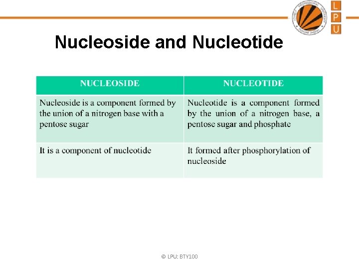 Nucleoside and Nucleotide © LPU: BTY 100 Nucleoside and Nucleotide © LPU: BTY 100