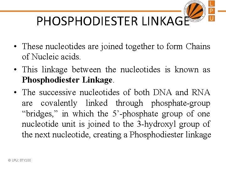 PHOSPHODIESTER LINKAGE • These nucleotides are joined together to form Chains of Nucleic acids. PHOSPHODIESTER LINKAGE • These nucleotides are joined together to form Chains of Nucleic acids.
