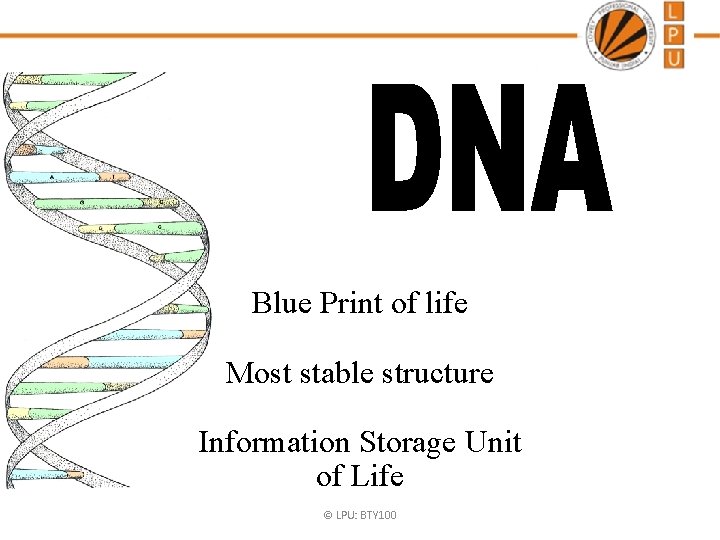 Blue Print of life Most stable structure Information Storage Unit of Life © LPU: