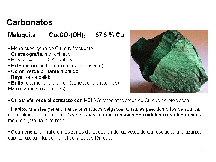 Carbonatos Malaquita Cu 2 CO 3(OH)2 57, 5 % Cu • Mena supérgena de