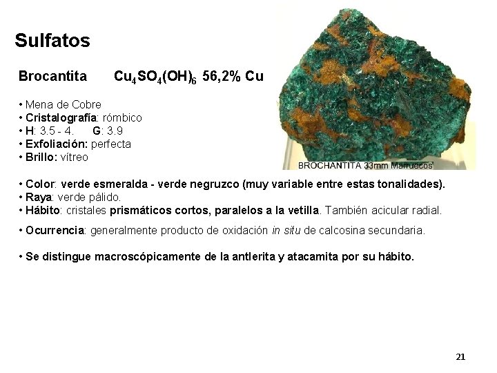 Sulfatos Brocantita Cu 4 SO 4(OH)6 56, 2% Cu • Mena de Cobre •