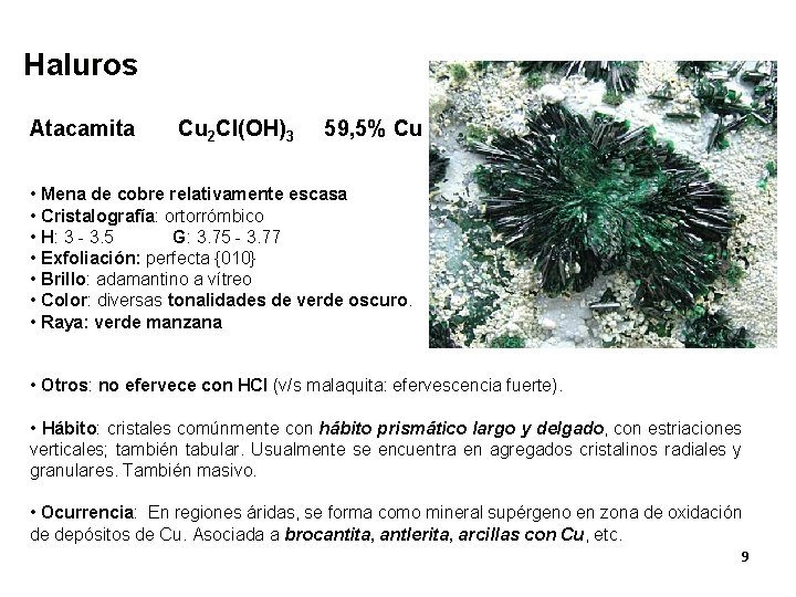 Haluros Atacamita Cu 2 Cl(OH)3 59, 5% Cu • Mena de cobre relativamente escasa