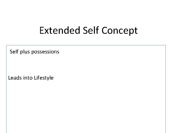Extended Self Concept Self plus possessions Leads into Lifestyle 