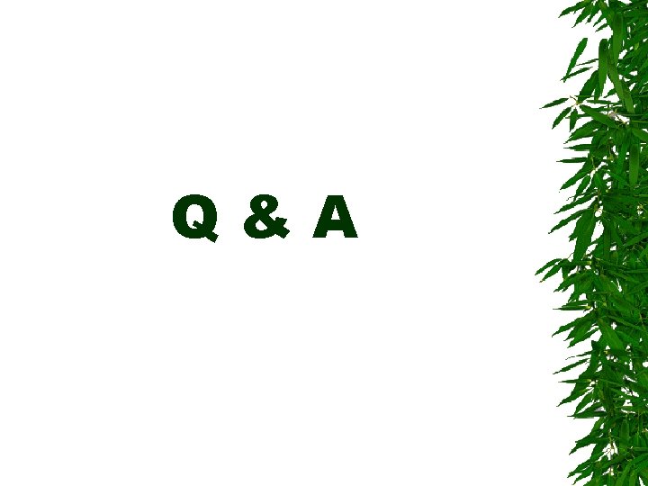 Q&A 