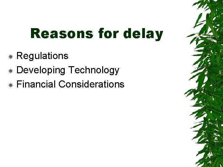 Reasons for delay Regulations Developing Technology Financial Considerations 