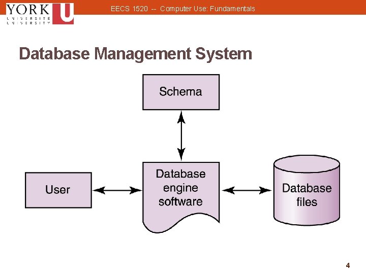 EECS 1520 -- Computer Use: Fundamentals Database Management System 4 4 