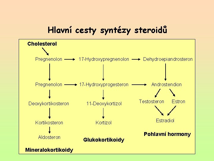 Hlavní cesty syntézy steroidů Cholesterol Pregnenolon 17 -Hydroxypregnenolon Pregnenolon 17 -Hydroxyprogesteron Deoxykortikosteron 11 -Deoxykortizol