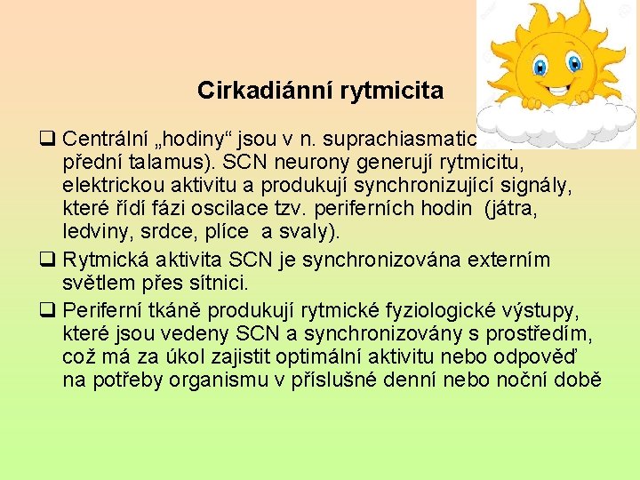 Cirkadiánní rytmicita q Centrální „hodiny“ jsou v n. suprachiasmaticus (SCN; přední talamus). SCN neurony