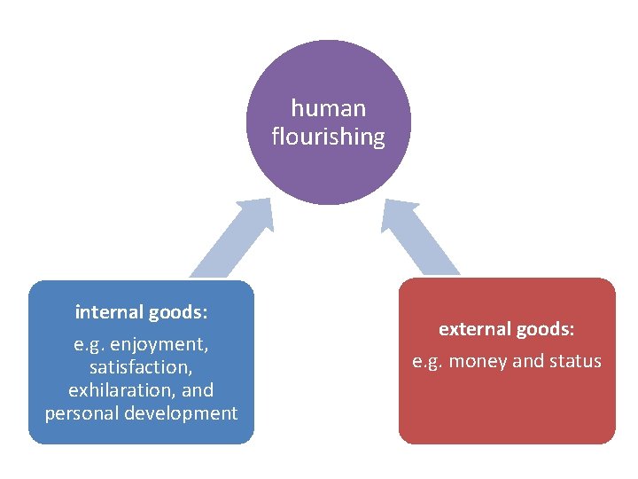 human flourishing internal goods: e. g. enjoyment, satisfaction, exhilaration, and personal development external goods: