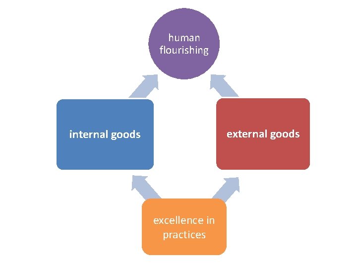 human flourishing external goods internal goods excellence in practices 