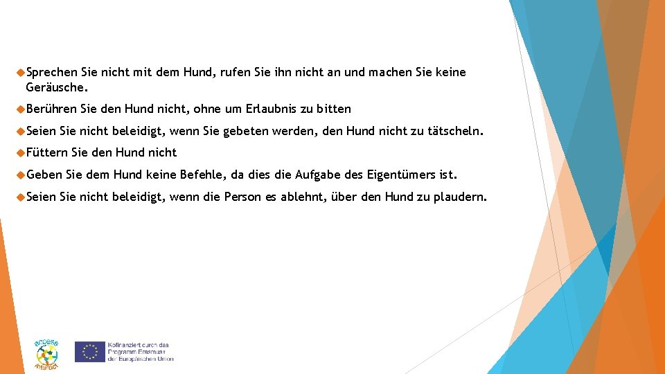  Sprechen Sie nicht mit dem Hund, rufen Sie ihn nicht an und machen