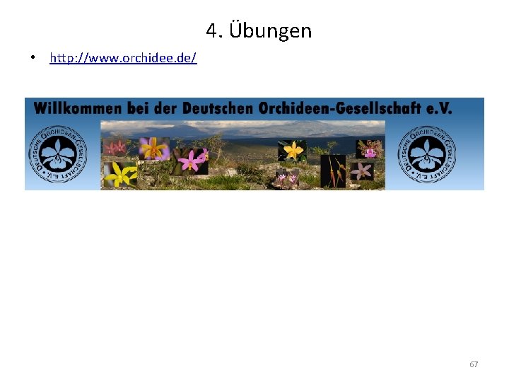 4. Übungen • http: //www. orchidee. de/ 67 