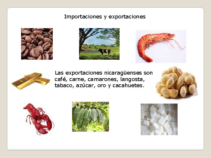 Importaciones y exportaciones Las exportaciones nicaragüenses son café, carne, camarones, langosta, tabaco, azúcar, oro