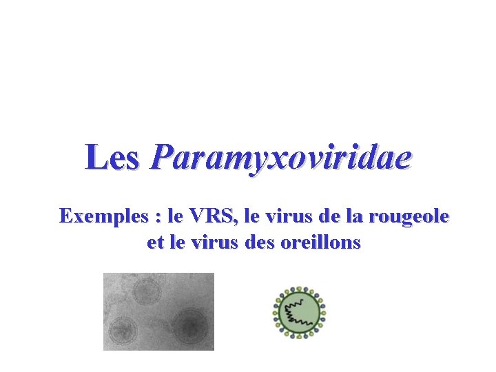 Les Paramyxoviridae Exemples : le VRS, le virus de la rougeole et le virus