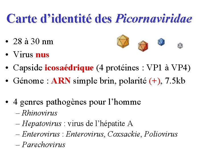 Carte d’identité des Picornaviridae • • 28 à 30 nm Virus nus Capside icosaédrique