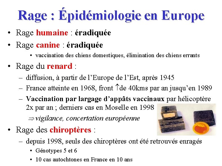 Rage : Épidémiologie en Europe • Rage humaine : éradiquée • Rage canine :