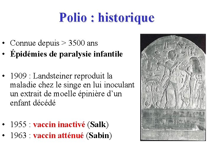 Polio : historique • Connue depuis > 3500 ans • Épidémies de paralysie infantile