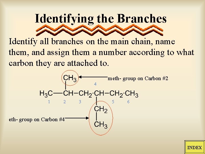 Identifying the Branches Identify all branches on the main chain, name them, and assign