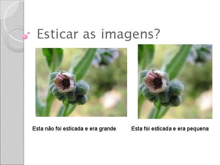 Esticar as imagens? Esta não foi esticada e era grande Esta foi esticada e