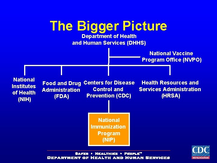 The Bigger Picture Department of Health and Human Services (DHHS) National Vaccine Program Office