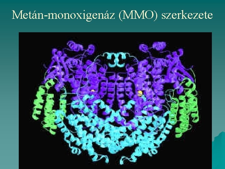 Metán-monoxigenáz (MMO) szerkezete 