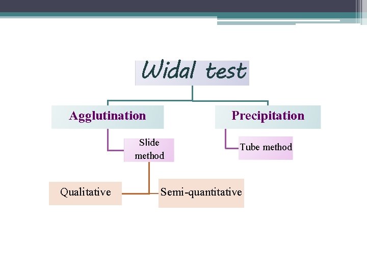 Widal test Precipitation Agglutination Slide method Qualitative Tube method Semi-quantitative 