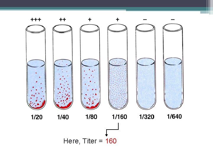 Here, Titer = 160 