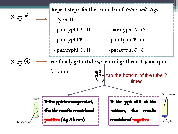 Step Repeat step 2 for the reminder of Salmonella Ags - Typhi H -