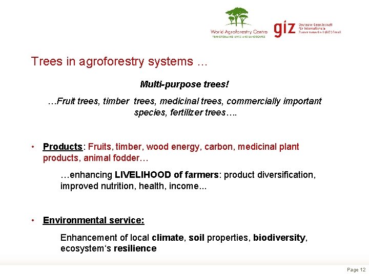 Trees in agroforestry systems … Multi-purpose trees! …Fruit trees, timber trees, medicinal trees, commercially