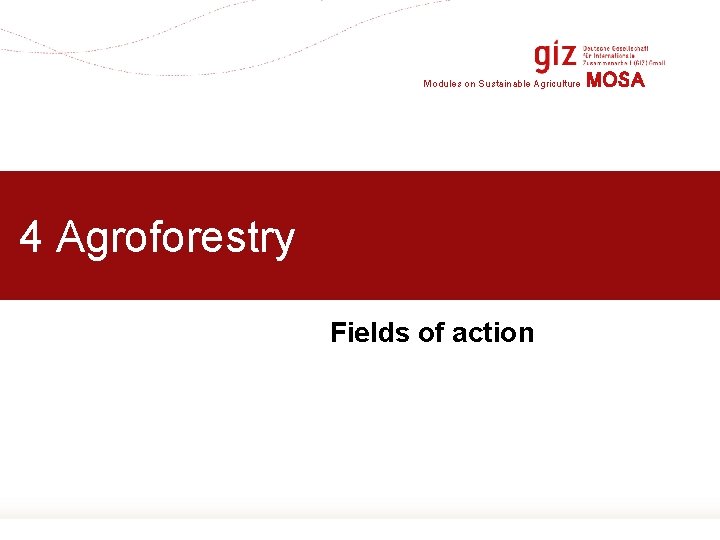 Modules on Sustainable Agriculture MOSA 4 Agroforestry Fields of action Page 28 