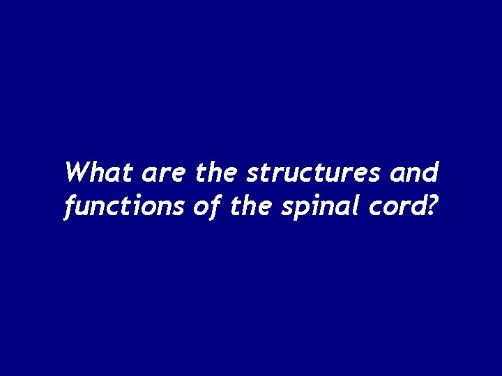 What are the structures and functions of the spinal cord? 