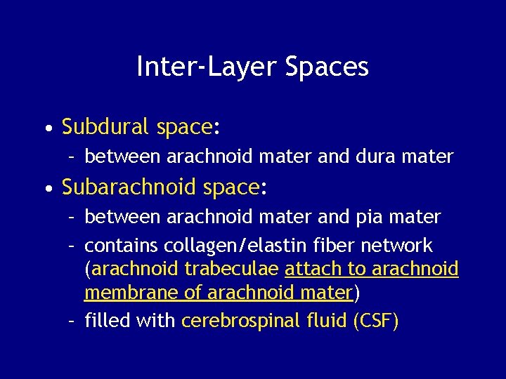 Inter-Layer Spaces • Subdural space: – between arachnoid mater and dura mater • Subarachnoid