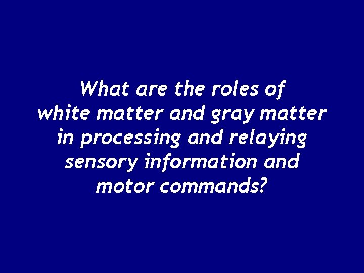 What are the roles of white matter and gray matter in processing and relaying