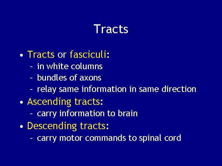 Tracts • Tracts or fasciculi: – in white columns – bundles of axons –