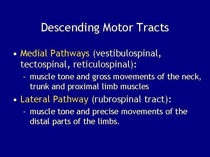 Descending Motor Tracts • Medial Pathways (vestibulospinal, tectospinal, reticulospinal): – muscle tone and gross
