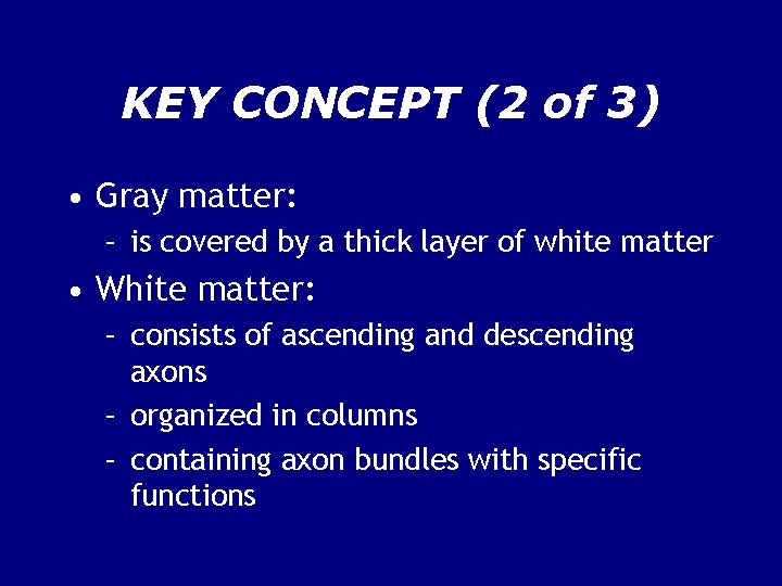 KEY CONCEPT (2 of 3) • Gray matter: – is covered by a thick